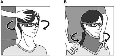 The Role of Neck Input in Producing Corrective Saccades in the Head Impulse Test